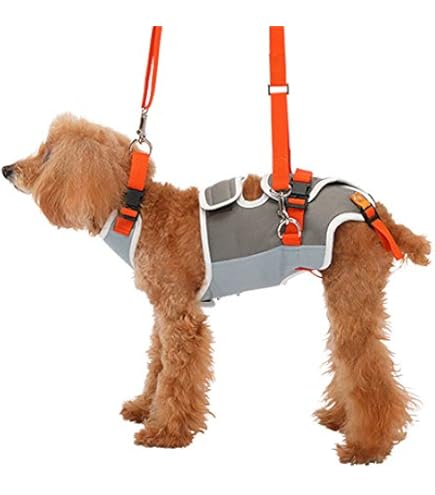 Amazon | 犬 歩行補助ハーネス 介護 ハーネス 胴輪 LaLaWalk ララ